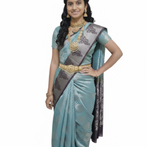 Trending fancy moon pattu saree