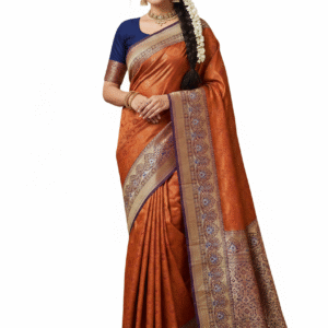 Banaras saree