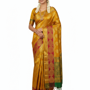 Kanchipuram pattu saree