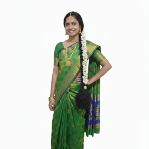 Banarasi pattu saree